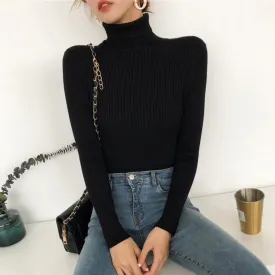 Long Sleeve High Neck Knitted  Slim Sweaters
