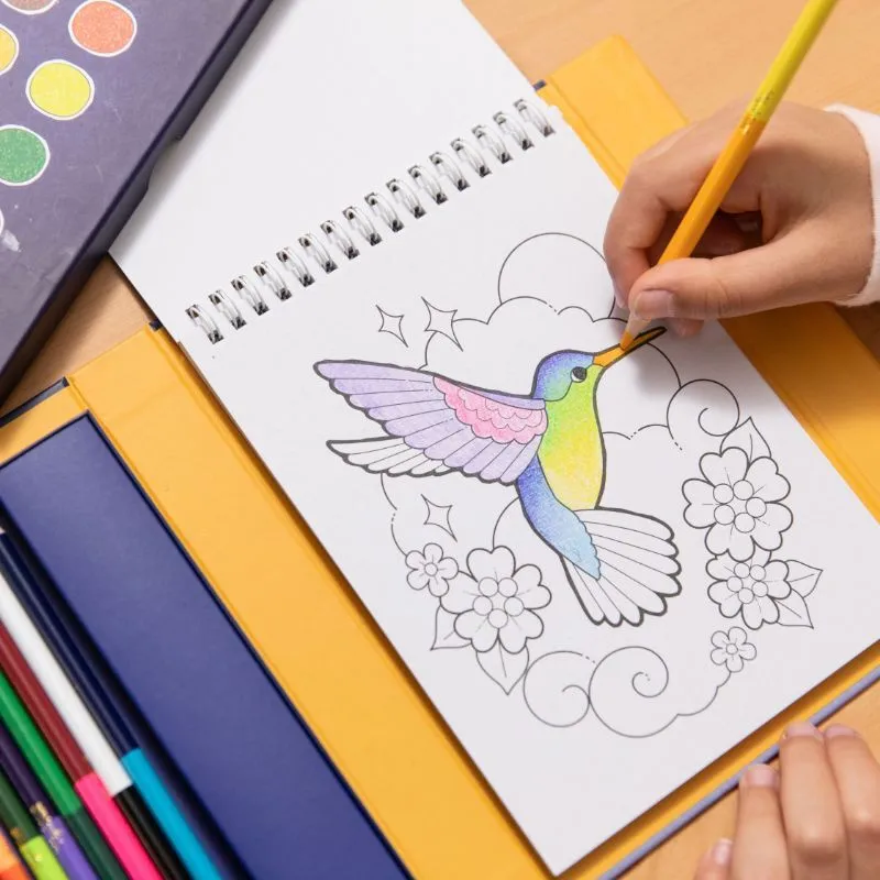 Pencil Art - Blend and Shade